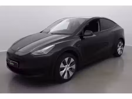 Tesla Model Y Standard 300