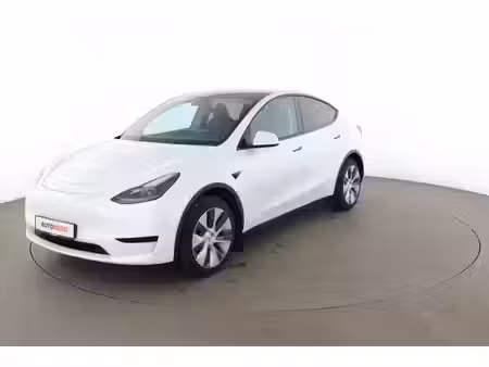 Tesla Model Y Standard 300