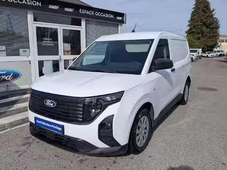 Ford Transit 1.5 100 Trend