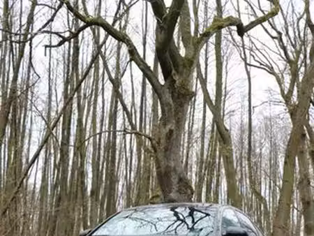Audi A6 3.0 TDI quattro