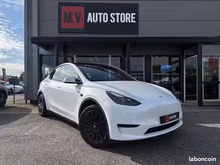 Tesla Model Y Standard 295