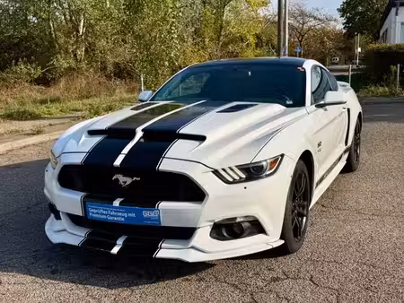 Ford Mustang Fastback V8 5.0