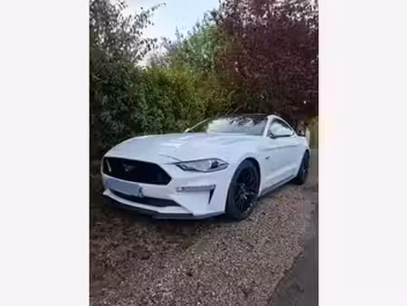 Ford Mustang Fastback V8 5.0