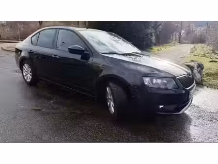 Škoda Octavia 1.8 TSI 180 Elegance