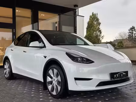 Tesla Model Y Standard 300