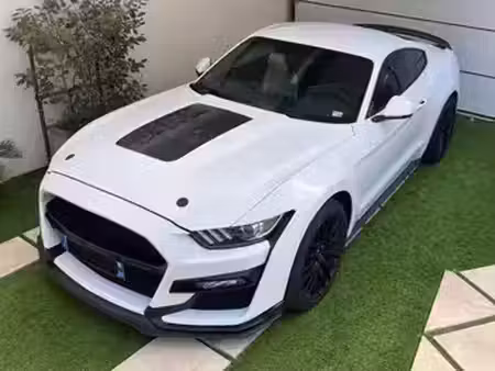 Ford Mustang Fastback V8 5.0