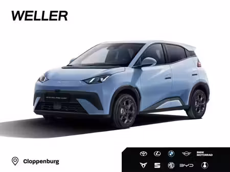 BYD Dolphin 88 Boost