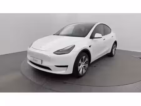 Tesla Model Y Standard 300