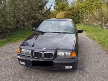 BMW Série 3 316 1.6 102