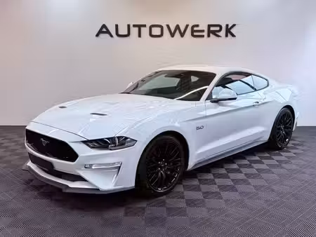 Ford Mustang Fastback V8 5.0 450