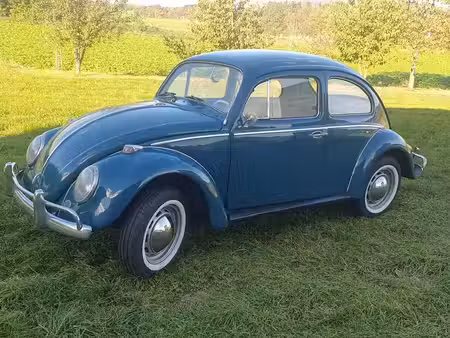 Volkswagen Beetle 