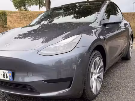 Tesla Model Y Standard 275