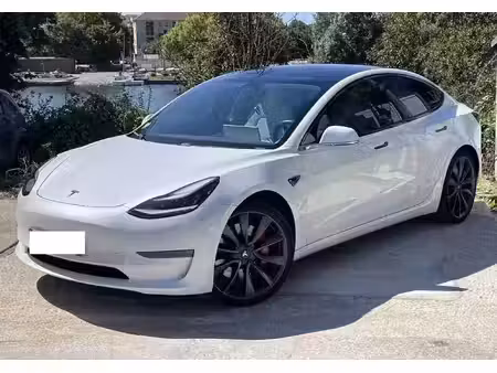 Tesla Model 3 Performance 482 PUP 4x4