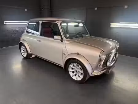 Mini Mini 1.3
