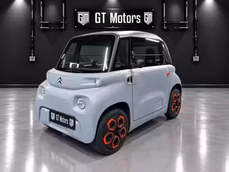 Citroën Ami 8 Grey