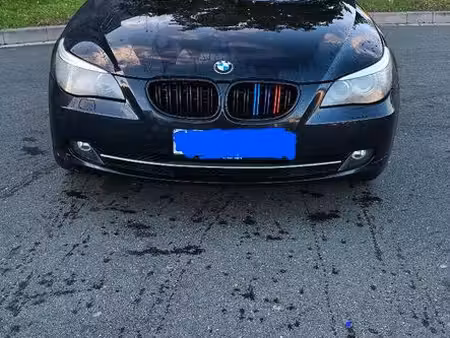 BMW Série 5 525d 3.0 197