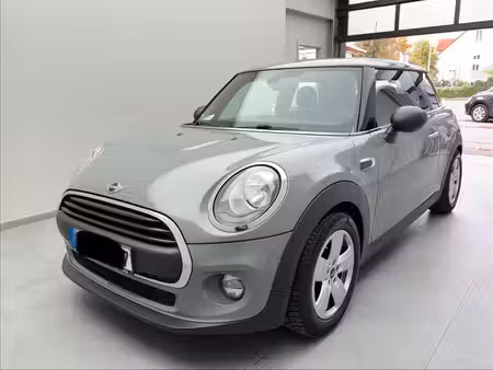 Mini Mini One