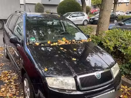 Škoda Fabia 1.2 55