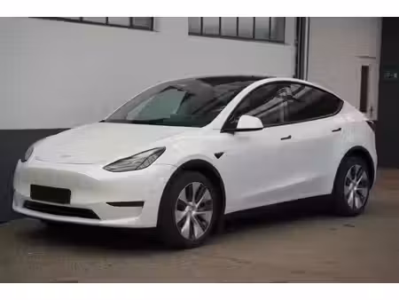 Tesla Model Y Standard 300