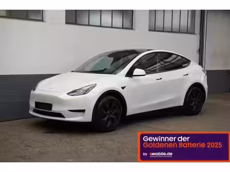 Tesla Model Y Standard 300