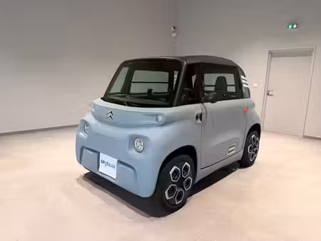 Citroën Ami 8
