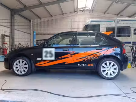 Rover 25