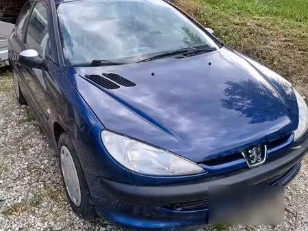 Peugeot 206 1.1 60