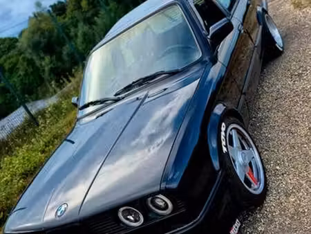 BMW Série 3 316