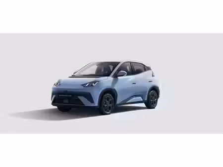 BYD Dolphin 88