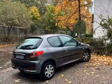 Peugeot 206+ 1.1 60