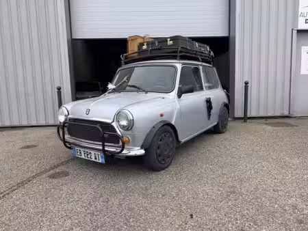Rover Mini 1.0