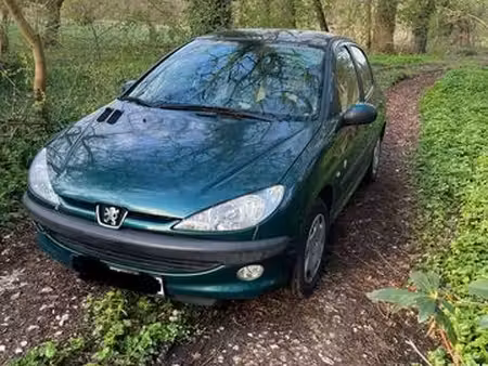 Peugeot 206 