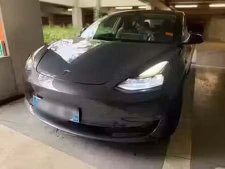Tesla Model 3 Grande Autonomie 462 4x4