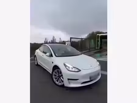 Tesla Model 3 Grande Autonomie 462 4x4