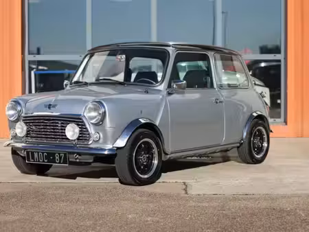 Mini Mini One