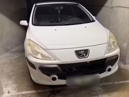 Peugeot 307 2.0 110