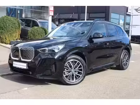 BMW iX1 30 313 xDrive