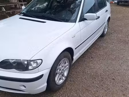 BMW Série 3 316 1.8 115