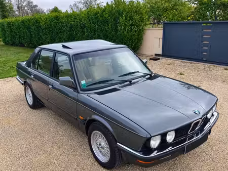 BMW Série 5 520i