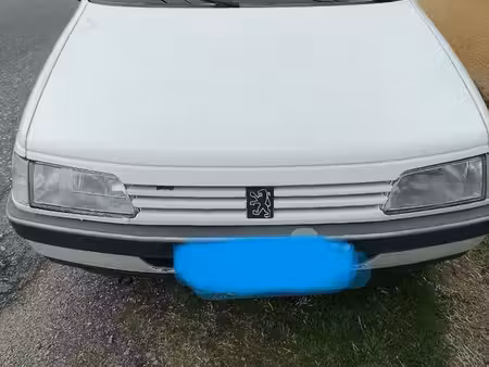 Peugeot 405 Break 1.9 92