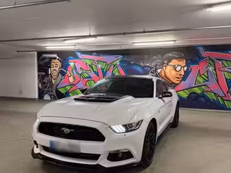 Ford Mustang Fastback 2.3 317