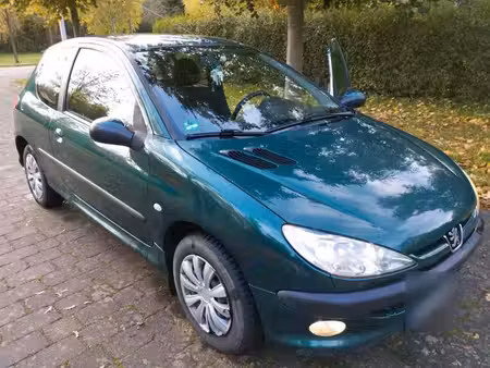 Peugeot 206 1.1 60