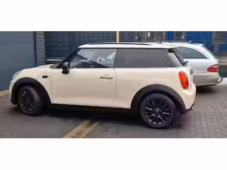 Mini Mini One