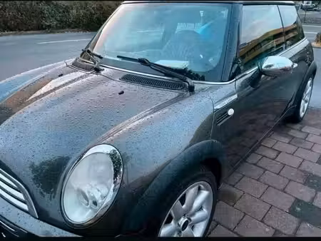 Mini Mini One