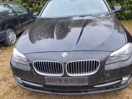 BMW Série 5 525d 3.0 204