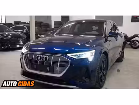 Audi e-tron quattro