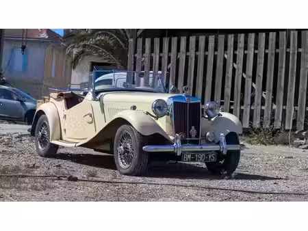 MG Mgtd