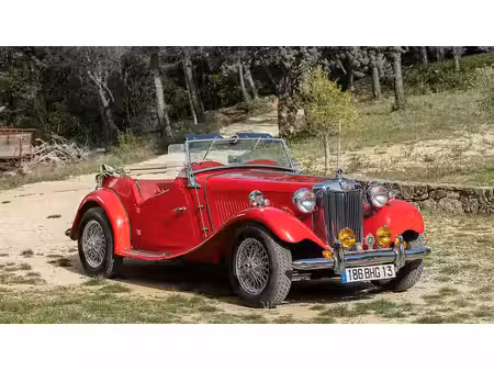MG Mgtd 