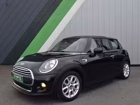 Mini Mini 1.5