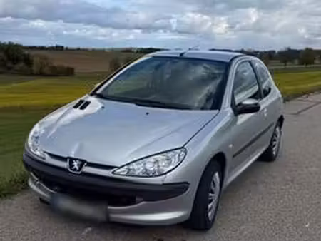 Peugeot 206 1.1 60